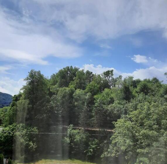 Hotell Pension Horvath