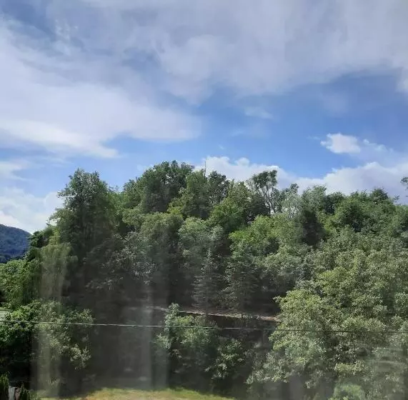 ホテル Pension Horvath