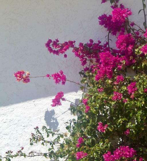 Luxury B&b Villa Tauro