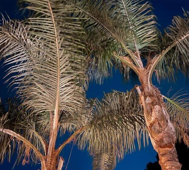 Luxury B&b Villa Tauro