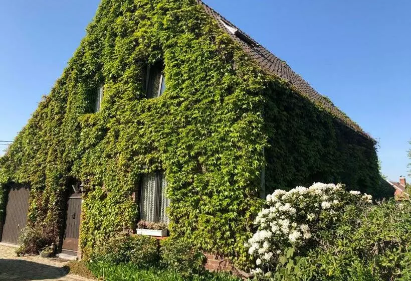 B&b Carisma