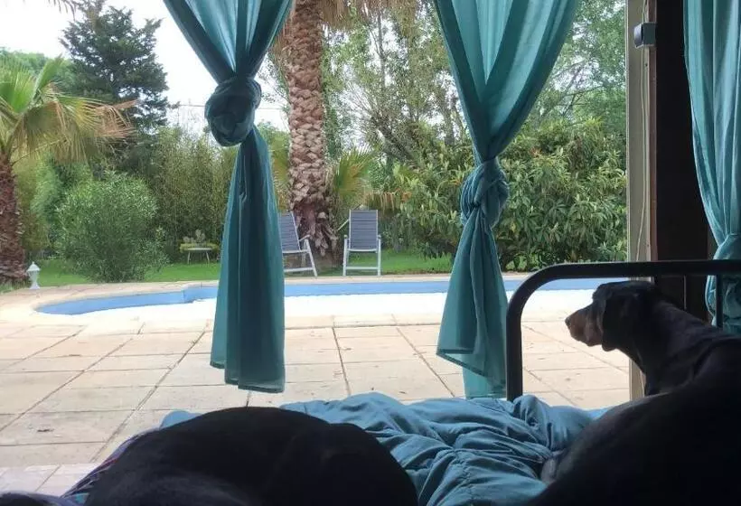 Bed & Breakfast Chéz Robert & Coby
