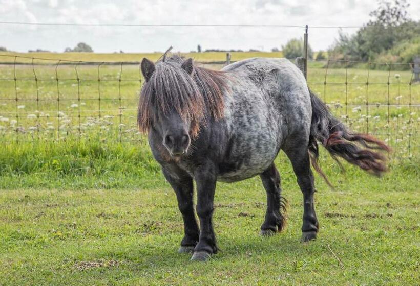 ベッドアンドブレックファースト Eendrachtweg 4