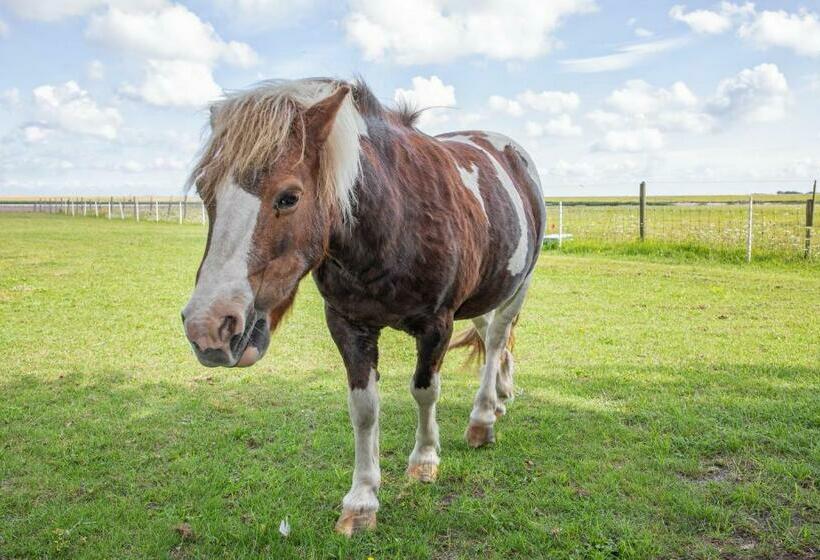 ベッドアンドブレックファースト Eendrachtweg 4