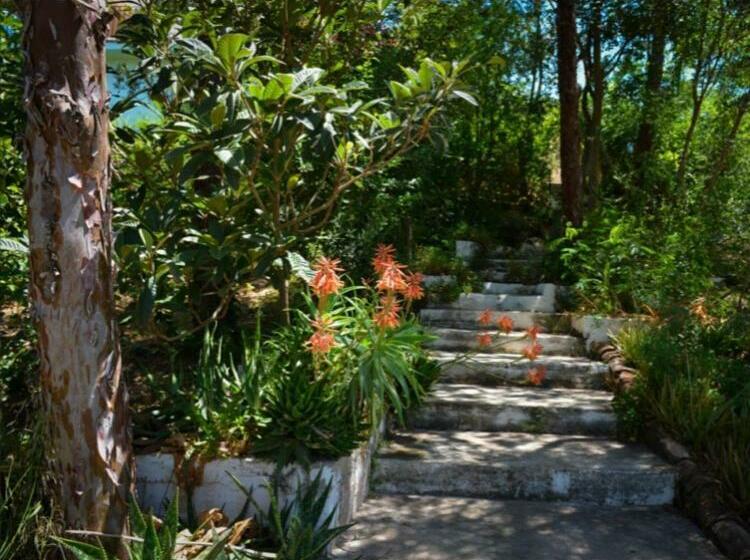 Bed and Breakfast La Barranca De La Barca