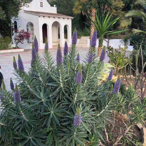Bed and Breakfast La Barranca De La Barca