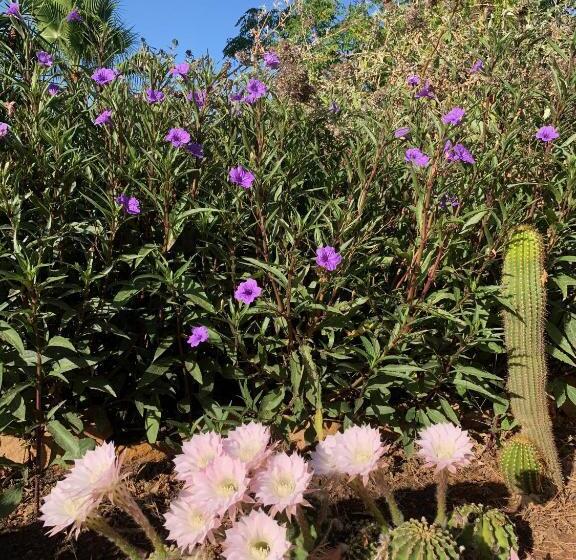 Bed and Breakfast La Barranca De La Barca