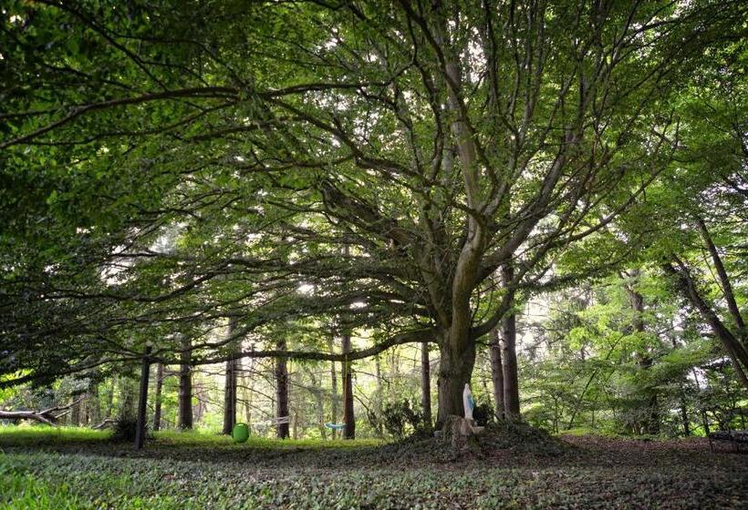 צימר Maison Matachot