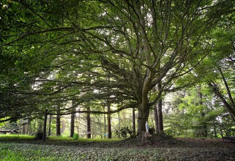 Aamiaismajoitus (B&B) Maison Matachot