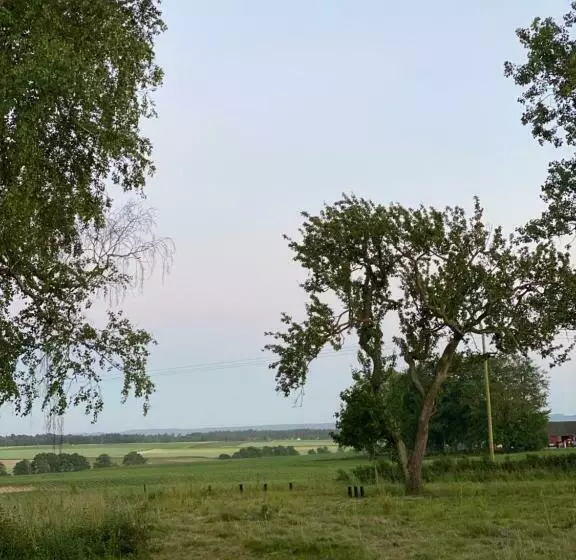 هتل Matsgård