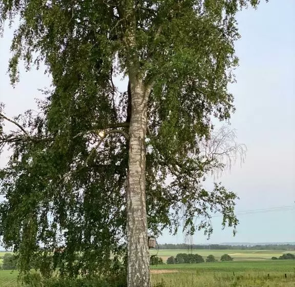 هتل Matsgård