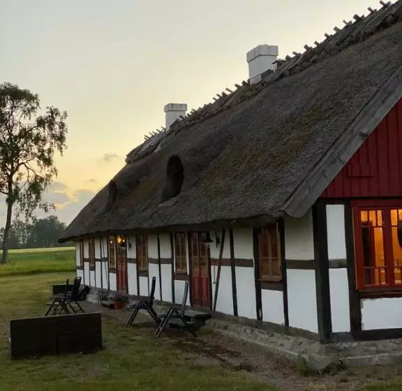 هتل Matsgård