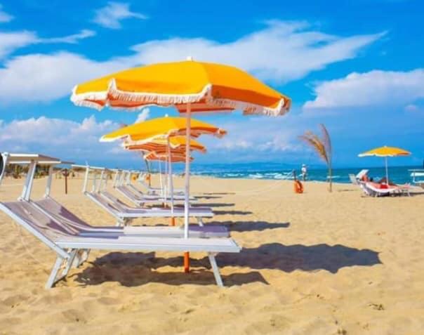 Mg Palace Hotel Costa Del Sole