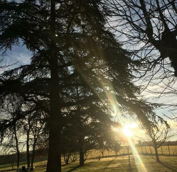 ペンション Chambres Et Table D Hôtes Le Cèdre Aveyron