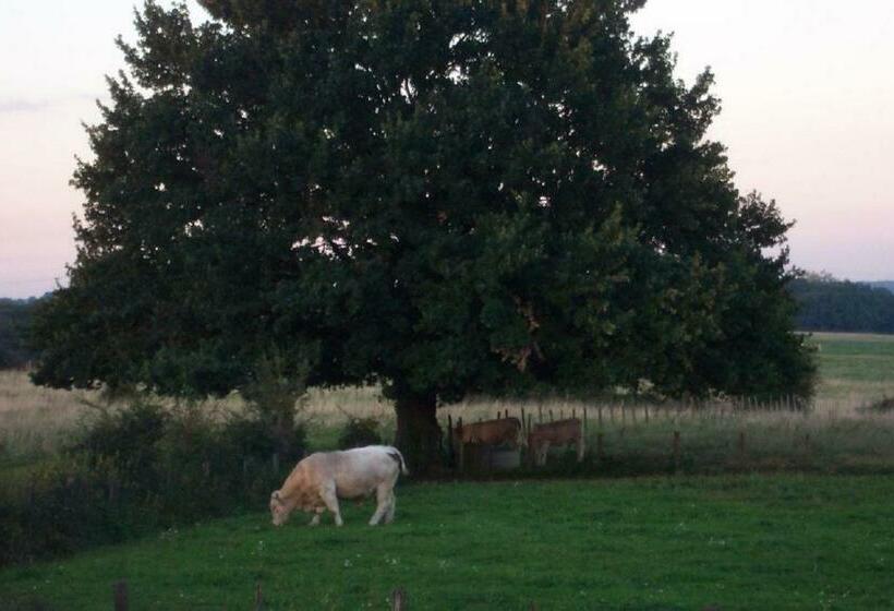 פנסיון Le Chaumois