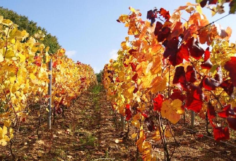 פנסיון Le Chaumois