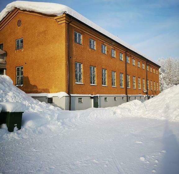 Общежитие åredalens Fjällgård
