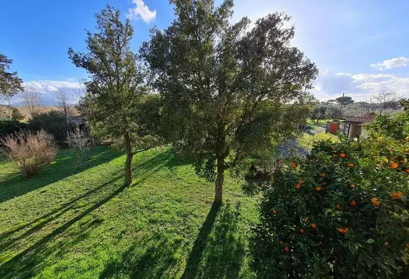 تختخواب و صبحانه Guesthouse L Acquarello