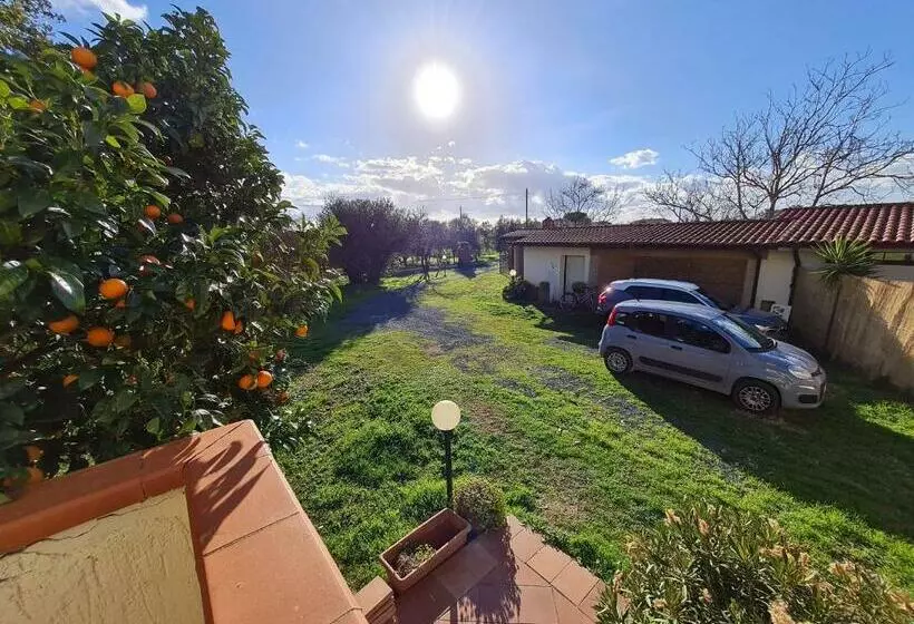تختخواب و صبحانه Guesthouse L Acquarello