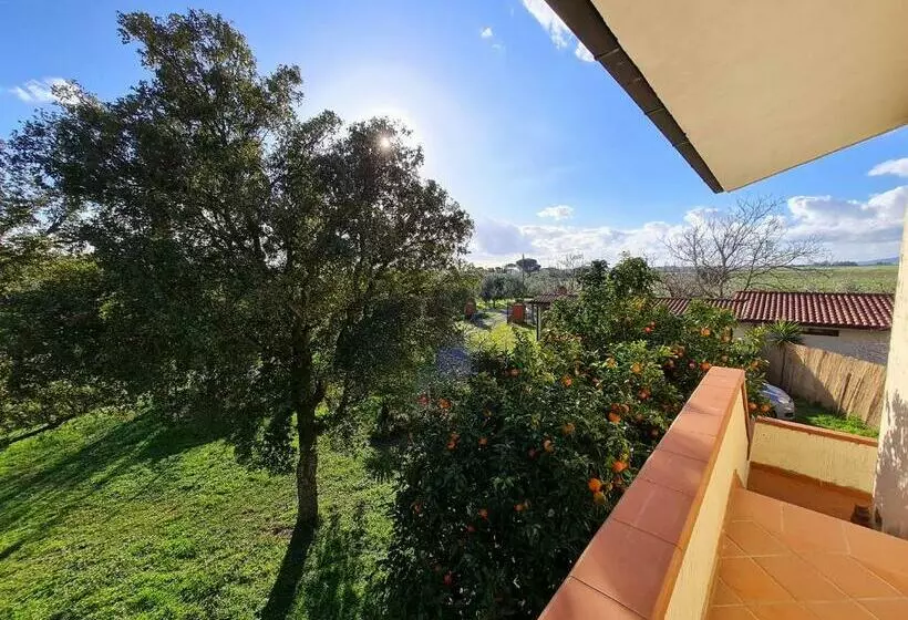 تختخواب و صبحانه Guesthouse L Acquarello