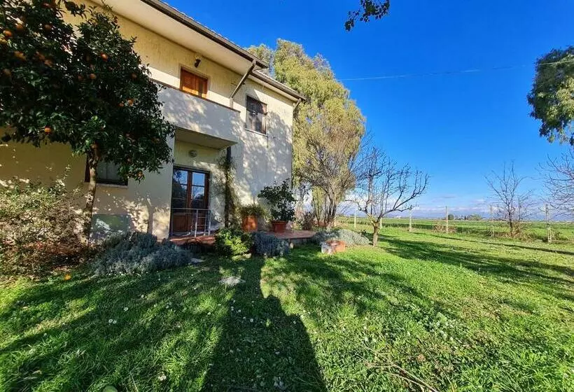 تختخواب و صبحانه Guesthouse L Acquarello