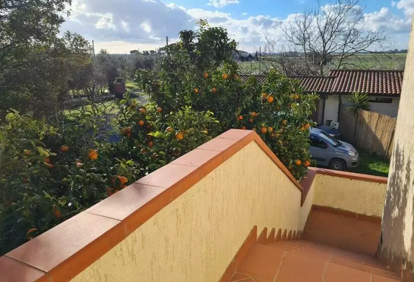 تختخواب و صبحانه Guesthouse L Acquarello