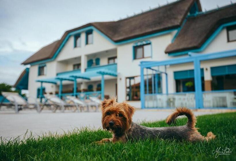 Pensiunea Briza Marii Jurilovca