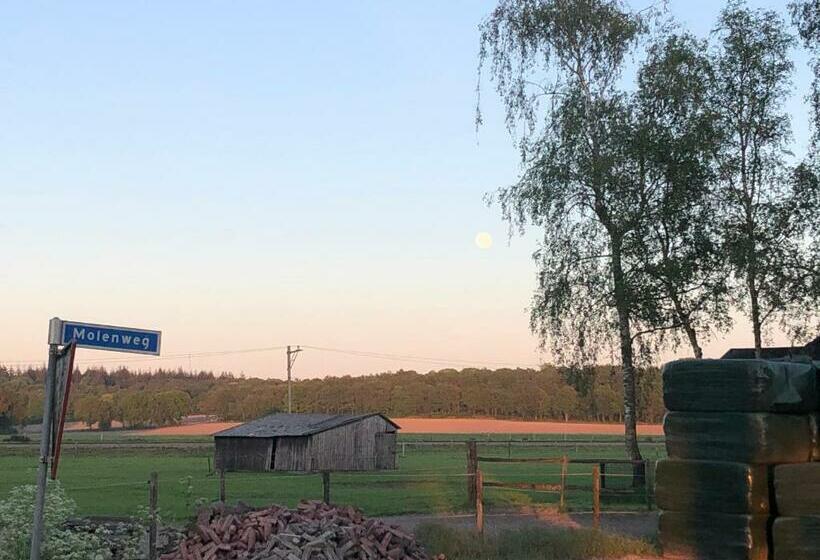 Bed and Breakfast De Gouden Wilg