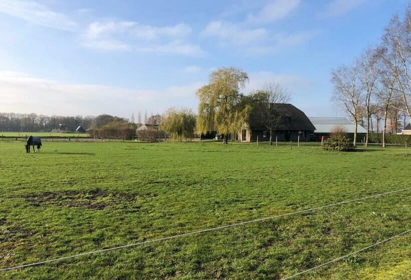 Bed and Breakfast De Gouden Wilg