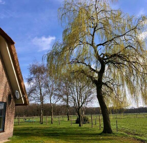 Bed and Breakfast De Gouden Wilg