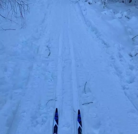 Dr åsa Kallfors Järna Bed & Breakfast