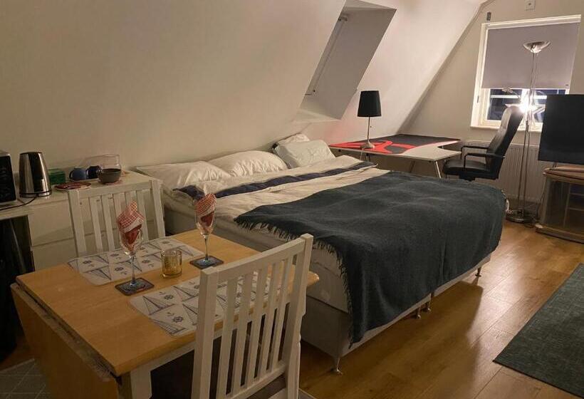 Dr åsa Kallfors Järna Bed & Breakfast