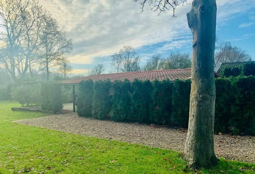 Bed and Breakfast So Rosie