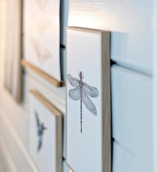 Bed and Breakfast So Rosie