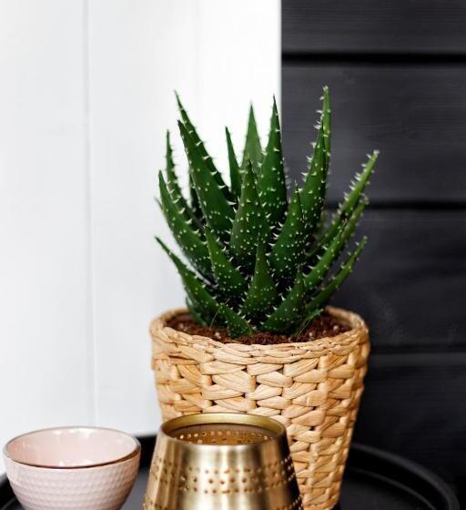 Bed and Breakfast So Rosie