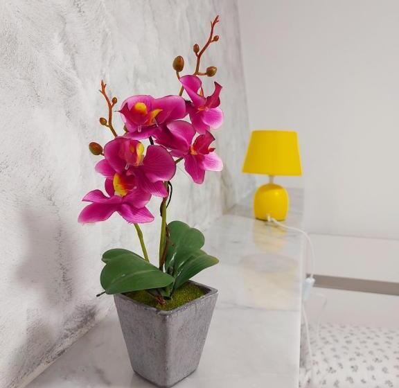 هتل Camera Matrimoniale Genova Rooms