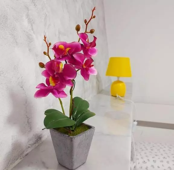 هتل Camera Matrimoniale Genova Rooms