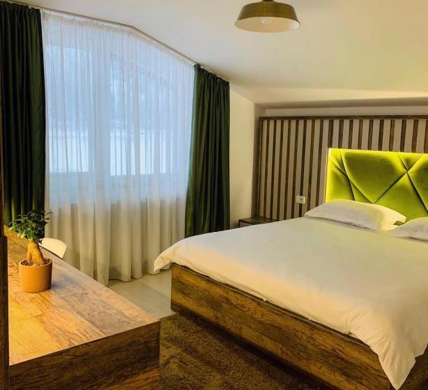 פנסיון Valea Putnei Residence Rooms For Rent