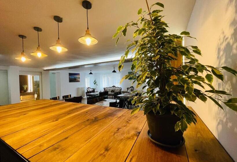 פנסיון Valea Putnei Residence Rooms For Rent