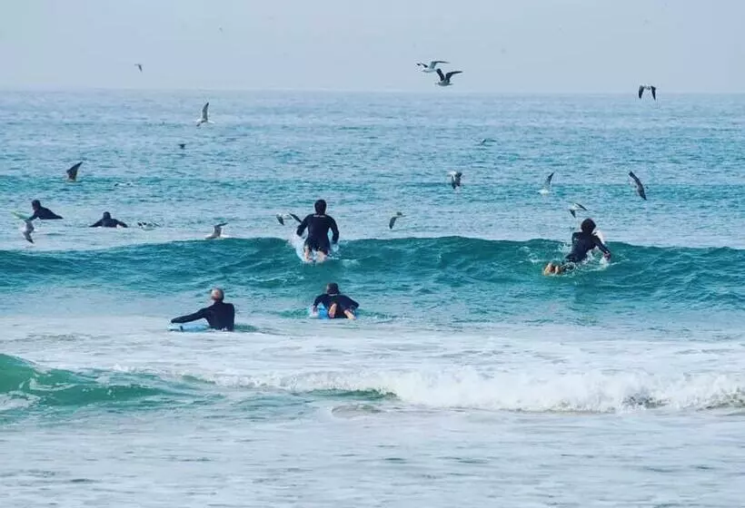 تختخواب و صبحانه Getwet Surfcamp