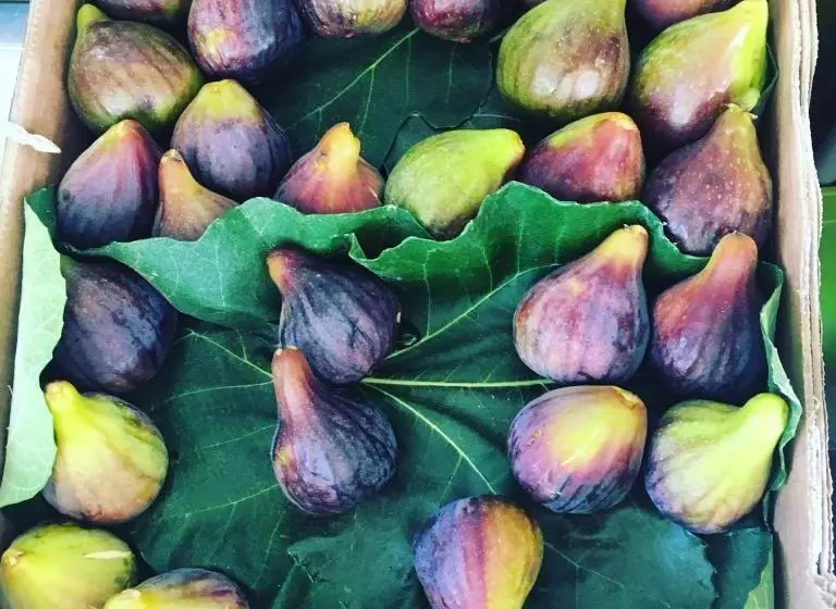 تختخواب و صبحانه Getwet Surfcamp