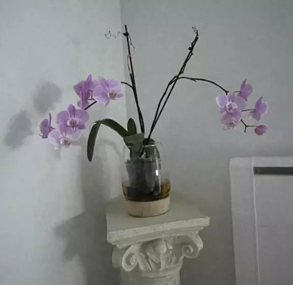 تختخواب و صبحانه Quiniere   Entre Lac Et Forêt   Hébergement Indépendant Avec Espace Kitchenette