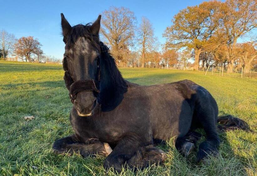 Pensiune Chambre Romantique Dans Le Château De La Bouchatte