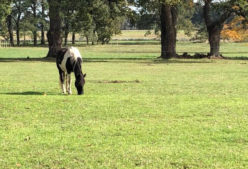 Pensiune Chambre Romantique Dans Le Château De La Bouchatte