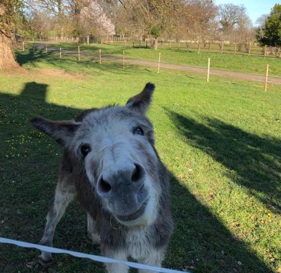 Pensiune Chambre Romantique Dans Le Château De La Bouchatte