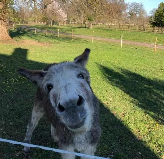 Majatalo Chambre Romantique Dans Le Château De La Bouchatte