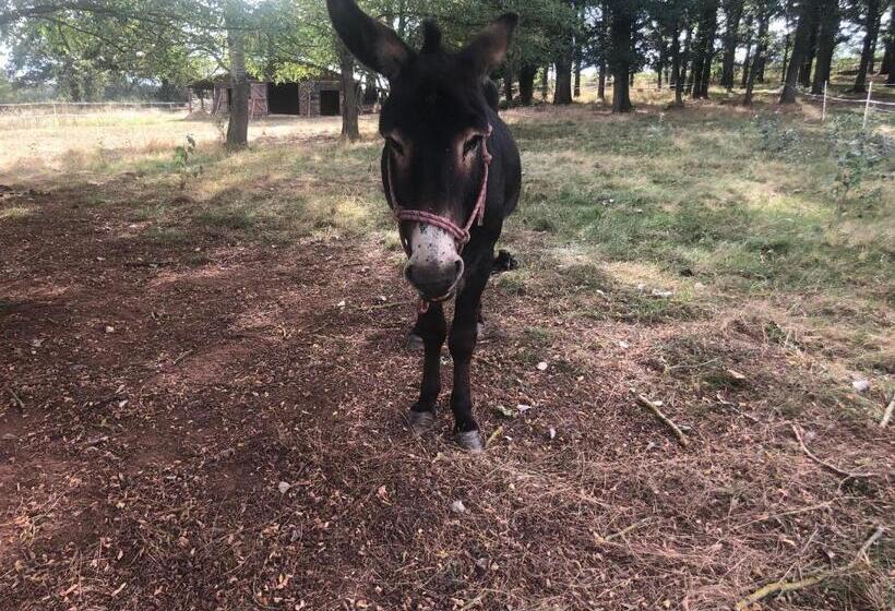Pensiune Chambre Romantique Dans Le Château De La Bouchatte
