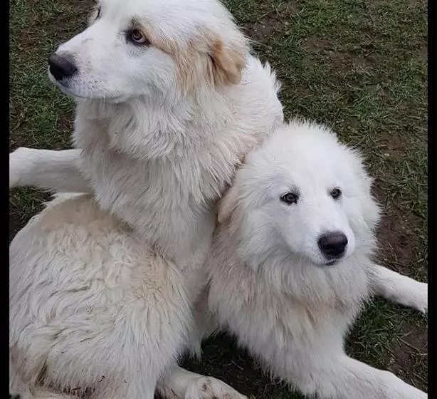Majatalo Chambre Romantique Dans Le Château De La Bouchatte