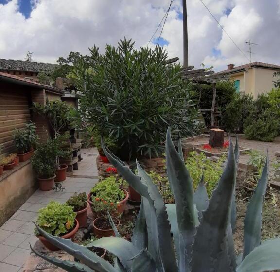 פנסיון La Casa In Giardino
