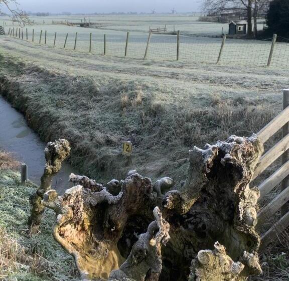 ベッドアンドブレックファースト Aangenaam Op De Rijn, Woonboot, Inclusief Privé Sauna